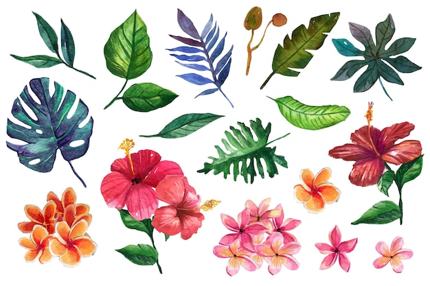 Warm coloured flowers and tropical leaves