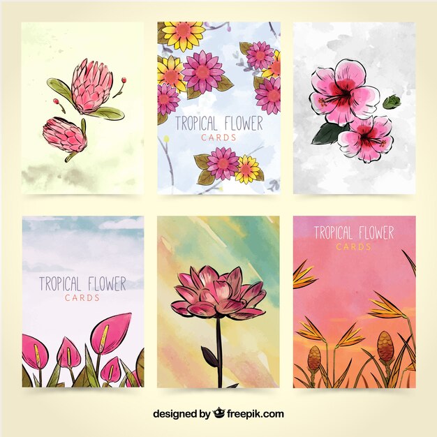 Water color flower cards