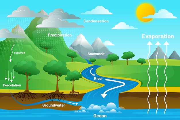 Water cycle illustrated with steps