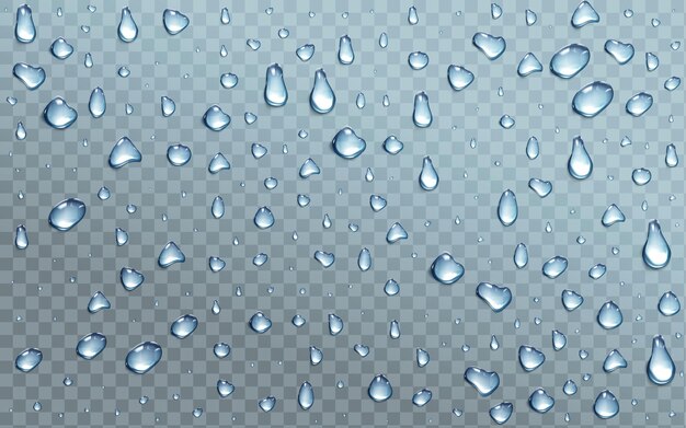 Water drops on transparent background, condensation, rain droplets with light reflection on window or glass surface, pure aqua blobs pattern, abstract wet texture, Realistic 3d vector illustration