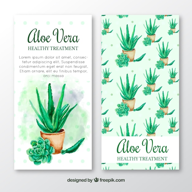 Watercolor aloe vera treatment brochure