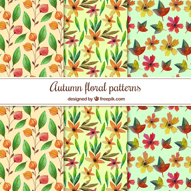 Free vector watercolor autumn floral patterns