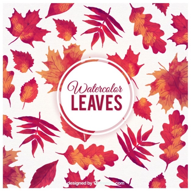 Free Vector watercolor autumn leaves background