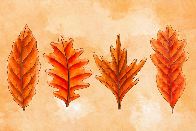 Free vector watercolor autumn leaves collection