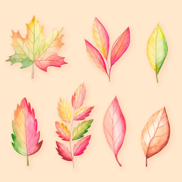 Watercolor autumn leaves collection