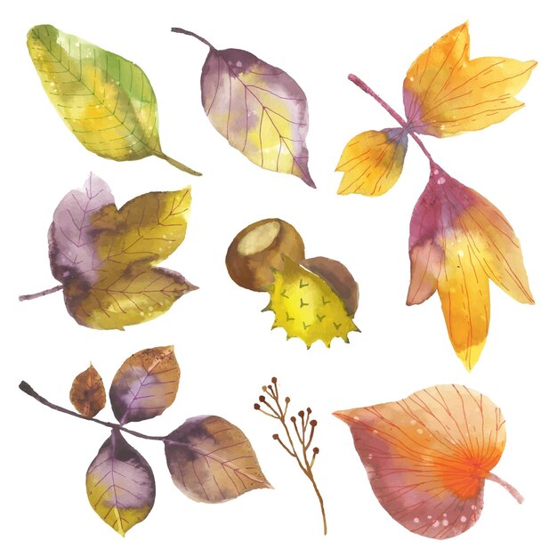 Watercolor autumn leaves collection