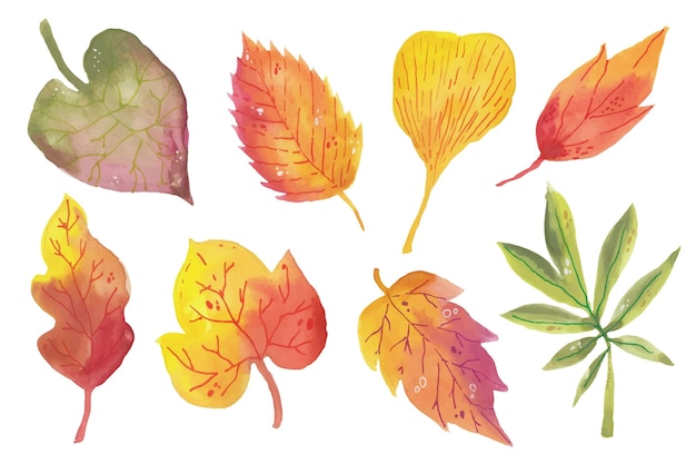 Watercolor autumn leaves collection