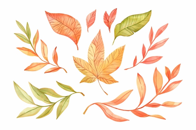 Watercolor autumn leaves collection