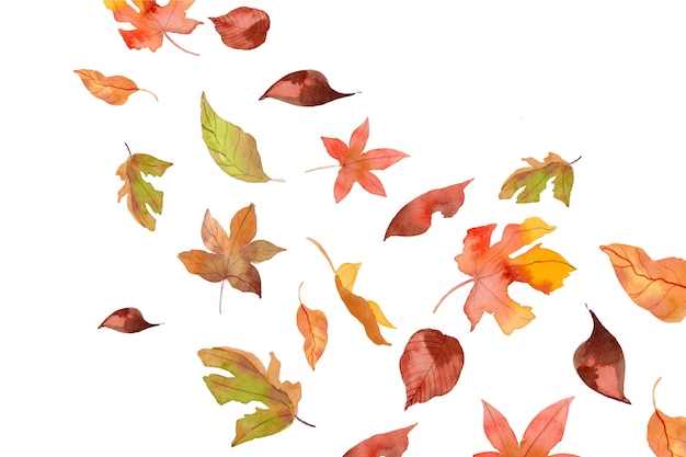 Free vector watercolor autumn leaves falling