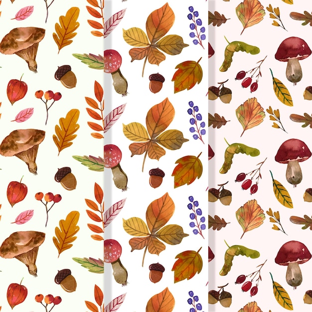 Watercolor autumn pattern collection