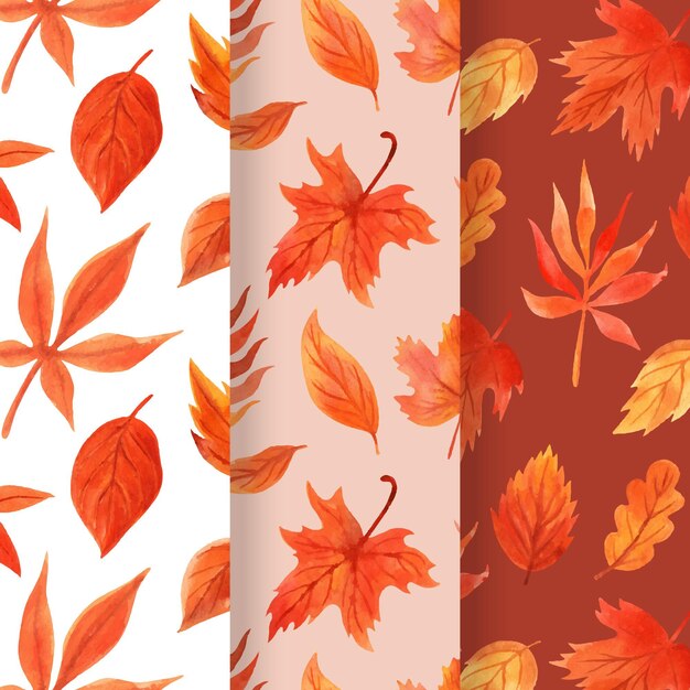 Watercolor autumn pattern collection