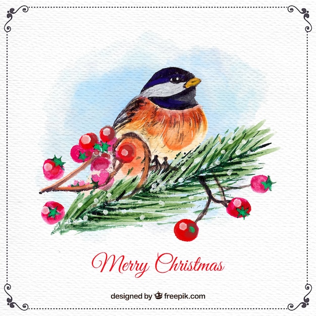 Free Vector watercolor bird christmas background