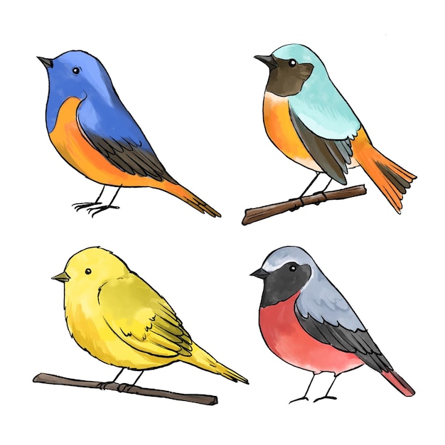 Watercolor bird collection concept