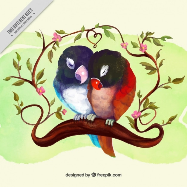 Free Vector watercolor bird couple