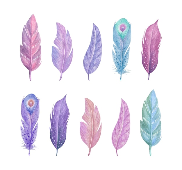 Watercolor bird feather set