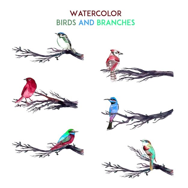 Free Vector watercolor birds and branches