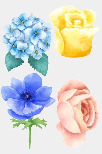 Watercolor blooming flowers clipart collection