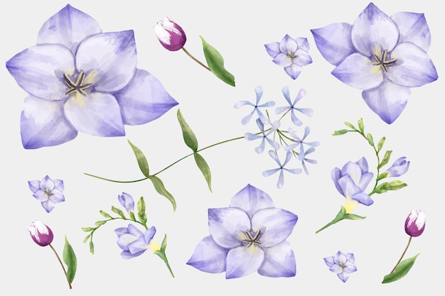 Free vector watercolor blooming flowers vector clipart set