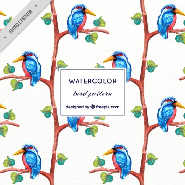 Watercolor blue tropical bird pattern