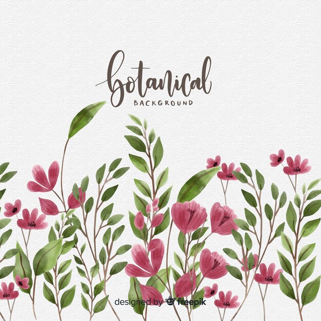 Watercolor botanical background