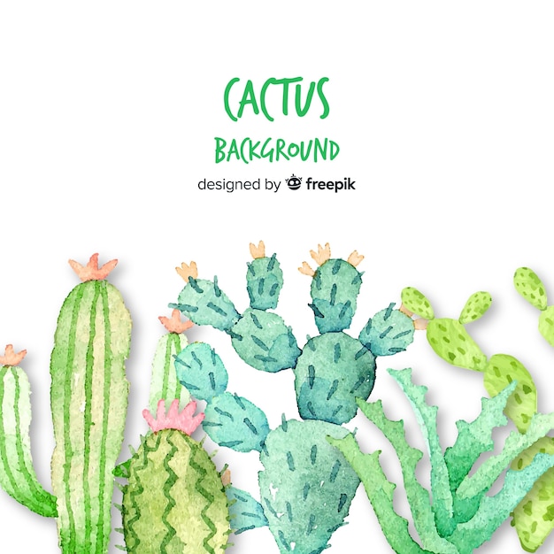 Watercolor cactus background