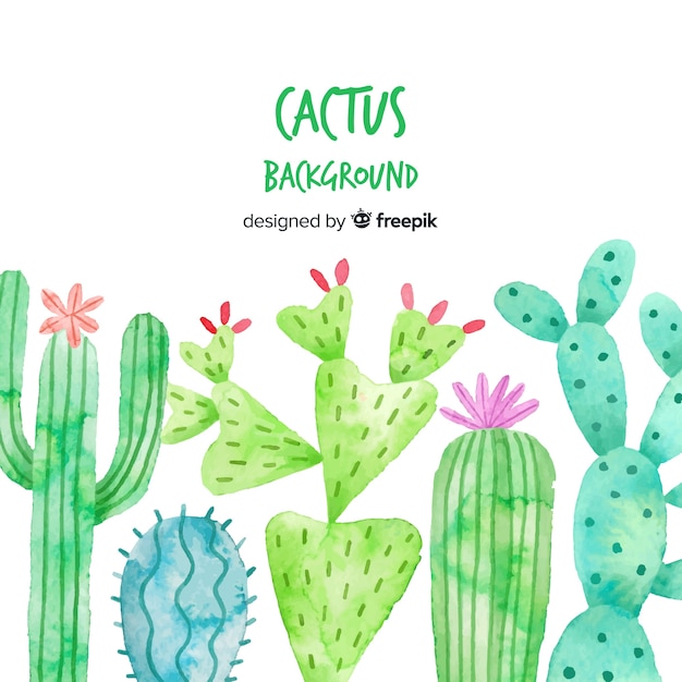 Watercolor cactus background