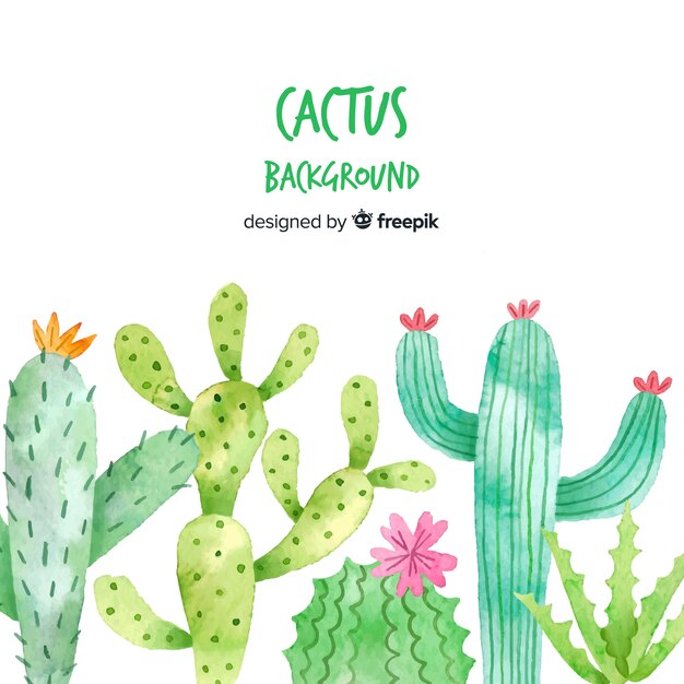 Watercolor cactus background