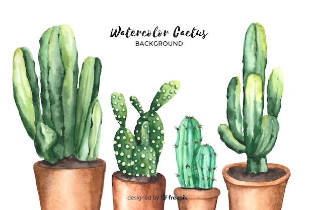 Watercolor cactus background