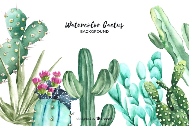 Watercolor cactus background