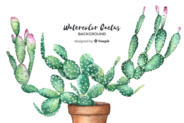 Watercolor cactus background