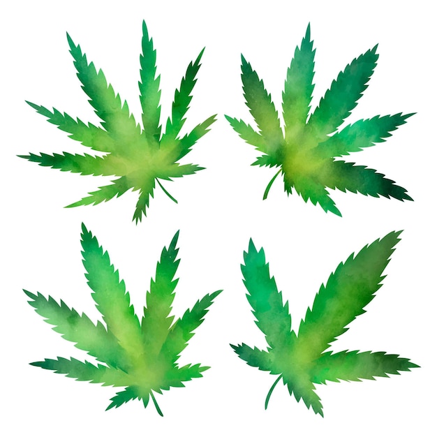 Free Vector watercolor cannabis leaves