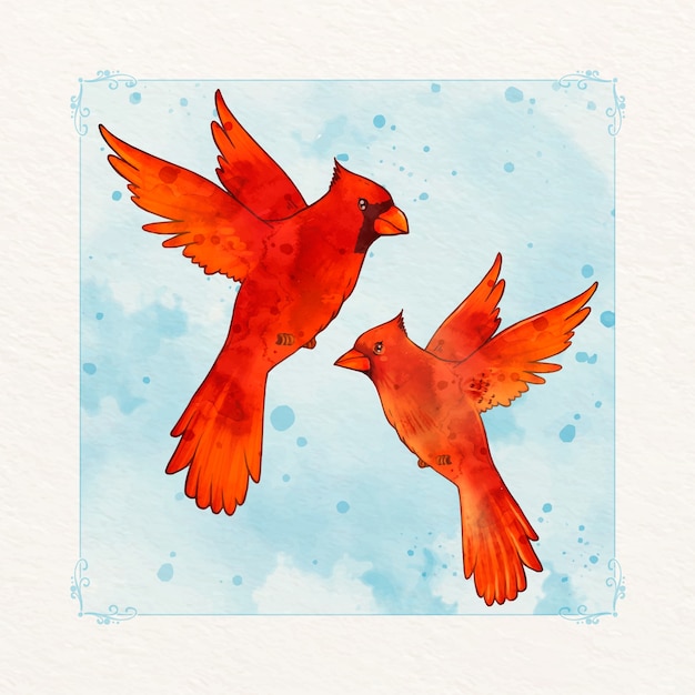 Free Vector watercolor cardinal bird illustration