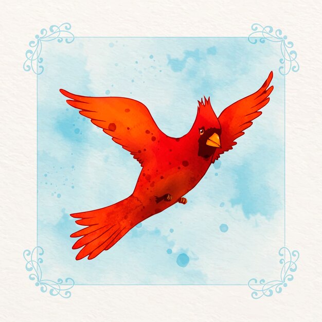 Watercolor cardinal bird illustration