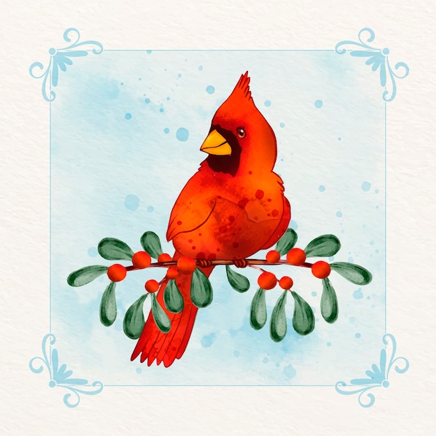 Watercolor cardinal bird illustration