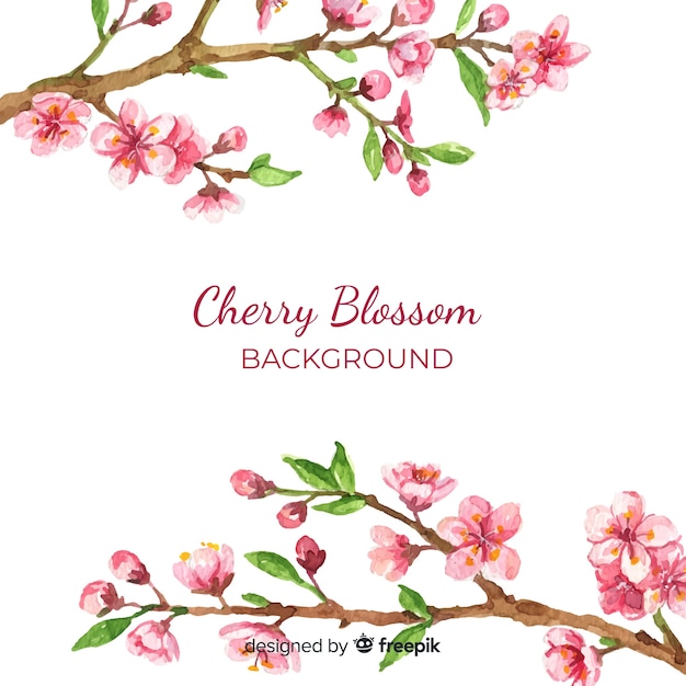 Watercolor cherry blossom background