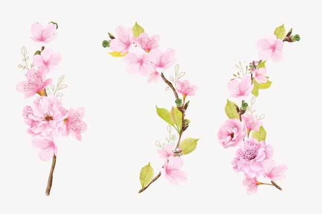 Free Vector watercolor cherry blossom branch illustration