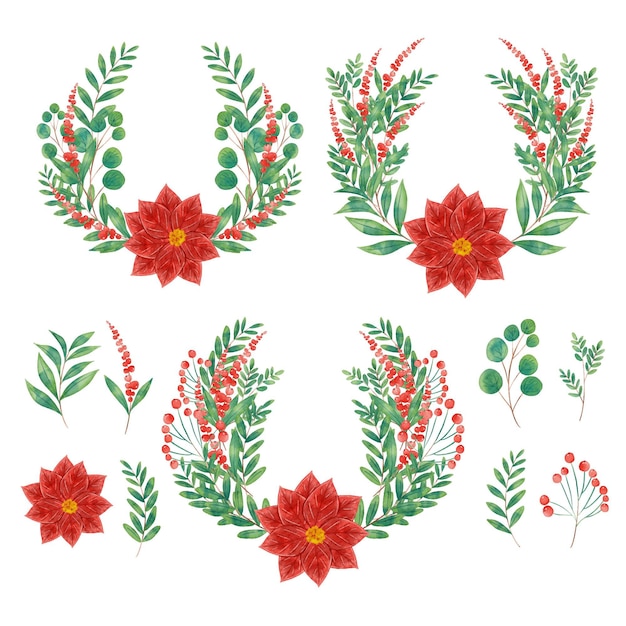 Watercolor christmas flower and wreath collection