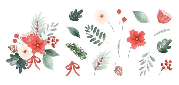 Watercolor christmas leaves and flowers collection