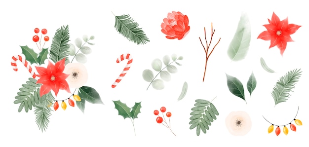 Free Vector watercolor christmas leaves and flowers collection