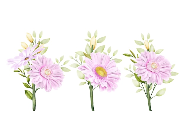 watercolor chrysanthemum  set