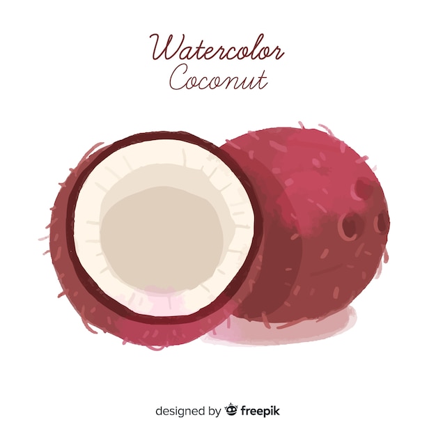 Watercolor coconut illustration