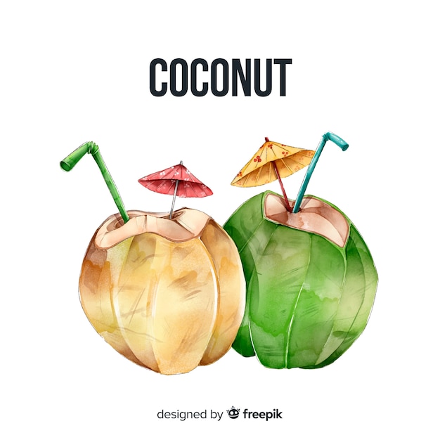 Watercolor coconut