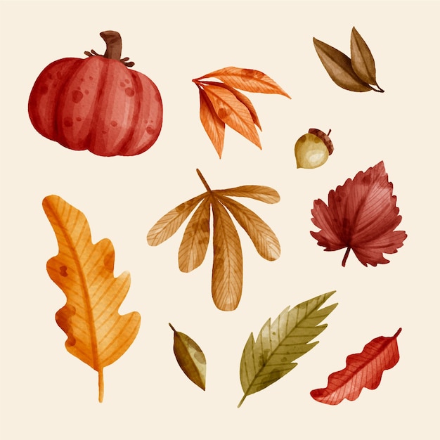 Watercolor collection of autumn elements