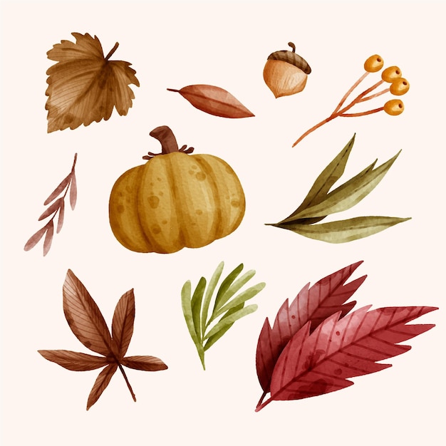 Watercolor collection of autumn elements