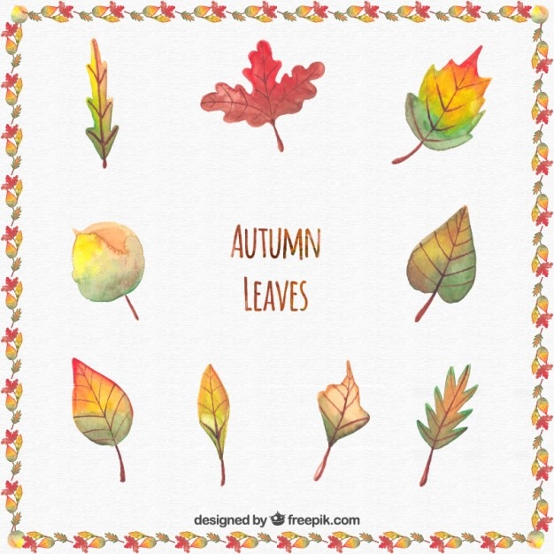 Free Vector watercolor collection of autumn leaves