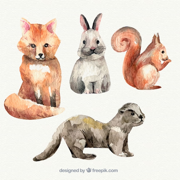 Free Vector watercolor collection of little animals