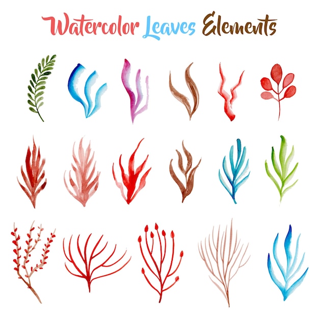 Free Vector watercolor colorful leaves elements