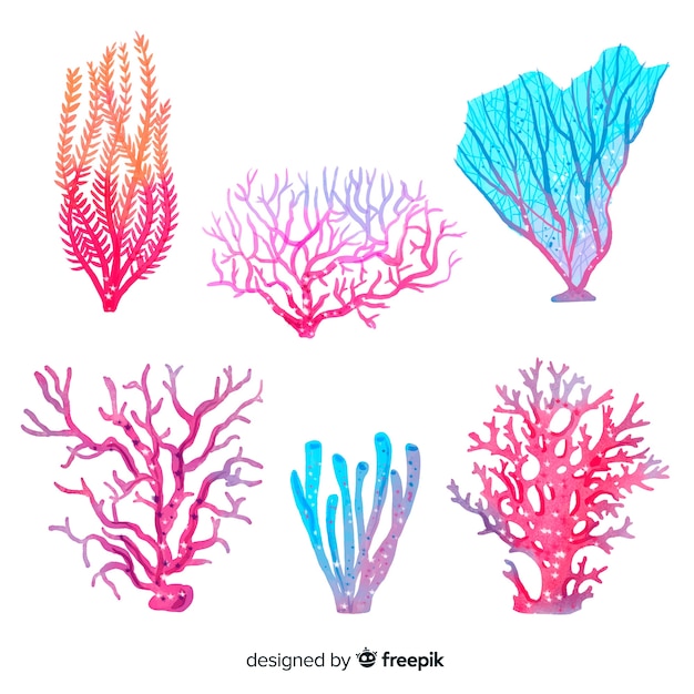 Watercolor coral collection