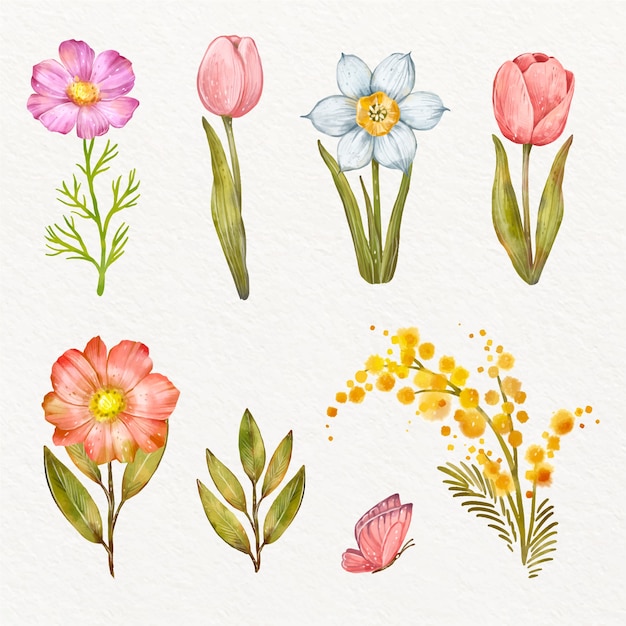 Watercolor design elements collection for spring season celebration