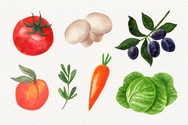 Watercolor different vegetables collection